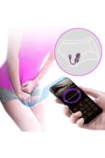 Elvira – Boules de Geisha Vibrantes & Connectées – Image 3